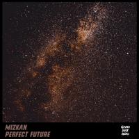 Artwork for Perfect Future by Mizkan