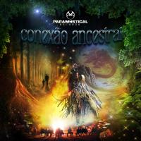 Artwork for Conexão Ancestral by Various Artists