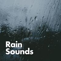 Artwork for Rain Sounds by Rain Sounds