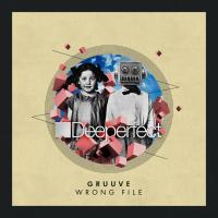 Artwork for Wrong File by Gruuve