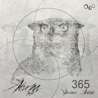 Artwork for 365 by Various Artists