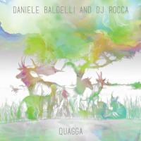 Artwork for Quagga by Daniele Baldelli