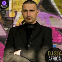 Artwork for Africa by Dj Sly