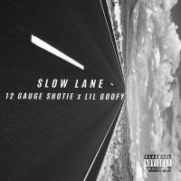 Artwork for Slow Lane (feat. Lil Goofy) by 12 Gauge Shotie