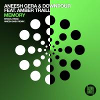 Artwork for Memory by Aneesh Gera