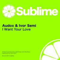 Artwork for I Want Your Love by Audox