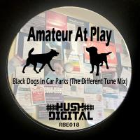 Artwork for Black Dogs In Car Parks (The Different Tune Mix) by Amateur At Play