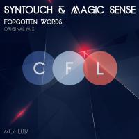 Artwork for Forgotten Words by Syntouch