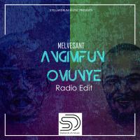 Artwork for Angimfun Omunye (Radio Edit) by MelVesant