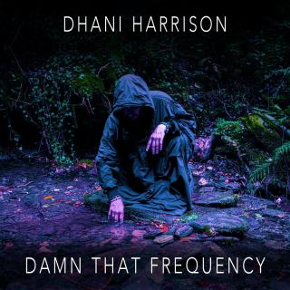 Artwork for Damn That Frequency