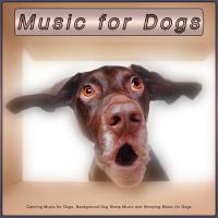 Artwork for Music for Dogs: Calming Music for Dogs, Background Dog Sleep Music and Sleeping Music for Dogs by Calming Music For Dogs