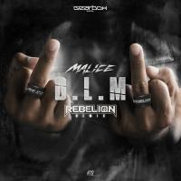 Artwork for D.L.M (Rebelion Remix) by Malice