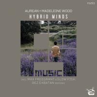 Artwork for Hybrid Minds by Aurean