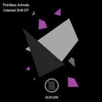 Artwork for Celestial Shift EP by Pointless Animals