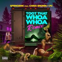 Artwork for Toot That Whoa Whoa (feat. Chris Brown & PC) by SprngBrk