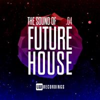 Artwork for The Sound Of Future House, Vol. 04 by Various Artists