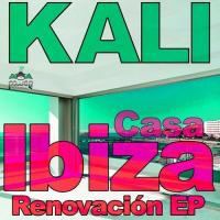 Artwork for Casa Ibiza Renovacion by Kaliii