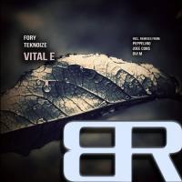 Artwork for Vital E by Fory