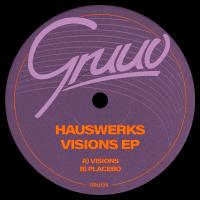 Artwork for Visions by Hauswerks