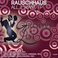 Artwork for All I Want by Rauschhaus