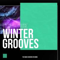 Artwork for Winter Grooves by Techno House