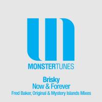 Artwork for Now & Forever by Brisky