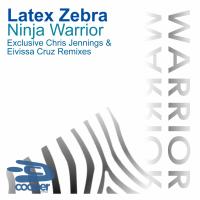 Artwork for Ninja Warrior by Latex Zebra