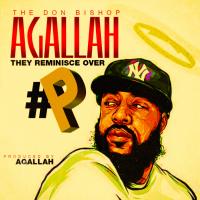 Artwork for T.R.O.P. (They Reminisce Over P) by Agallah