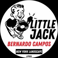 Artwork for New York Landscape by Bernardo Campos