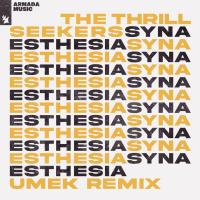 Artwork for Synaesthesia by The Thrillseekers
