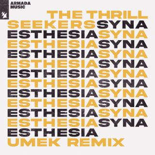 Artwork for Synaesthesia (En-Motion Remix)