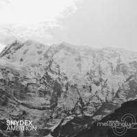 Artwork for Ambition by Snydex