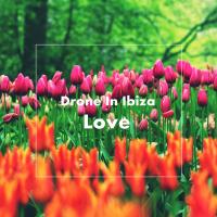 Artwork for Love by Drone In Ibiza