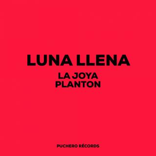 Artwork for Luna Llena (Original Mix)