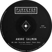 Artwork for We Are Talking About Your Soul by Andre Salmon