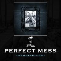 Artwork for Perfect Mess by Paradise Beta