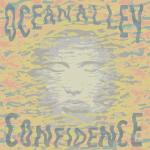 Artwork for "Confidence" by Ocean Alley
