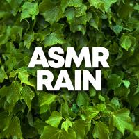 Artwork for ASMR Rain by Nature Sounds Nature Music