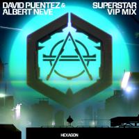 Artwork for Superstar (VIP Mix) by David Puentez