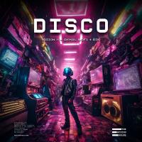 Artwork for Disco by Vision X