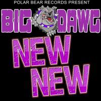 Artwork for New New by Big Dawg