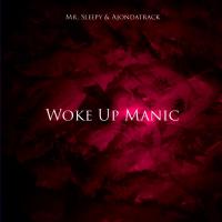 Artwork for Woke Up Manic by Mr. Sleepy