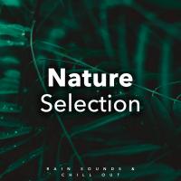 Artwork for Nature Selection by Rain Sounds