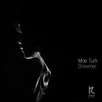 Artwork for Dreamer by Moe Turk