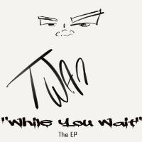 Artwork for While You Wait by Twan