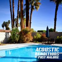 Artwork for Acoustic Renditions of Post Malone by Guitar Tribute Players