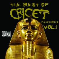 Artwork for The Best of Cricet Features, Vol. 1 by Cricet