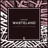 Artwork for Wasteland by Hokori