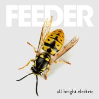 Artwork for All Bright Electric by Feeder