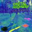 Artwork for Digital Highway (Original Mix)